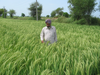 India Direct Seeding Initiative