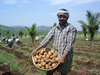 India Agriculture Initiative