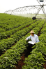 China Agriculture